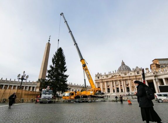 Vaticano Rvore De Natal Chega Na Pra A De S O Pedro